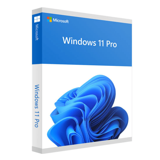  Windows 11 Pro OEM 